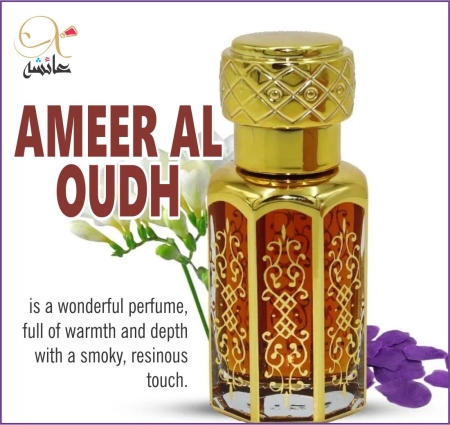AMEER AL OUDH